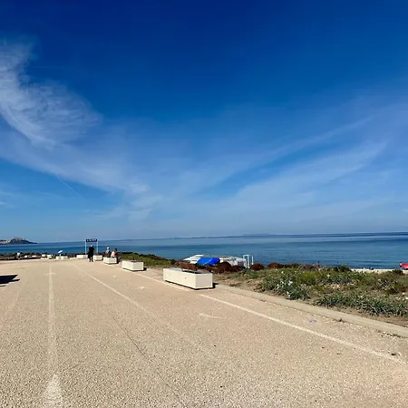 Magnolie-la Pineta Valledoria (Sardinia)