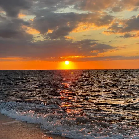 Magnolie-la Pineta A 100 M Dalla Apartment *