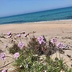 Magnolie-la Pineta * Valledoria (Sardinia)