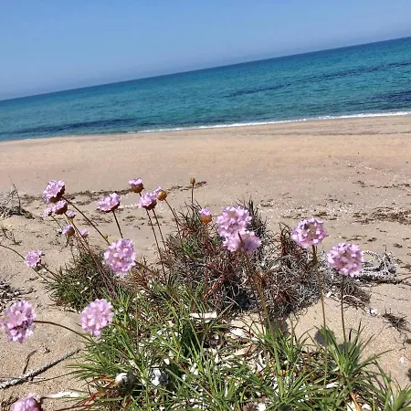 Magnolie-la Pineta A 100 M Dalla * Valledoria (Sardinia)