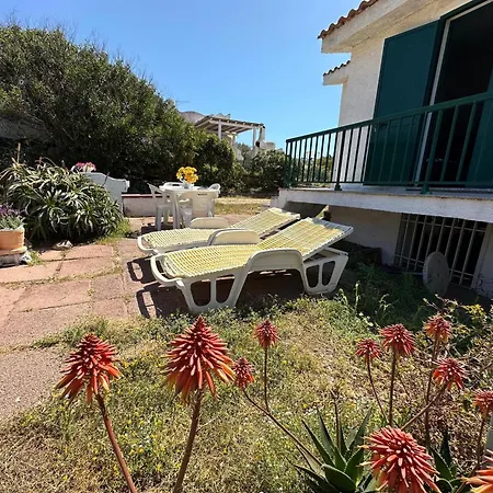 Magnolie-la Pineta