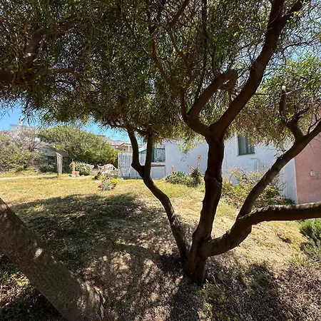 Apartment Magnolie-la Pineta Valledoria (Sardinia)
