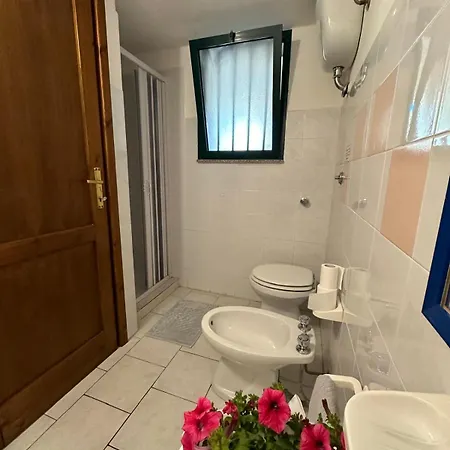 Magnolie-la Pineta * Valledoria (Sardinia)