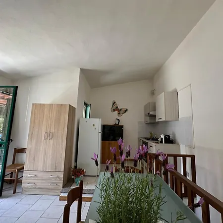 Magnolie-la Pineta A 100 M Dalla *