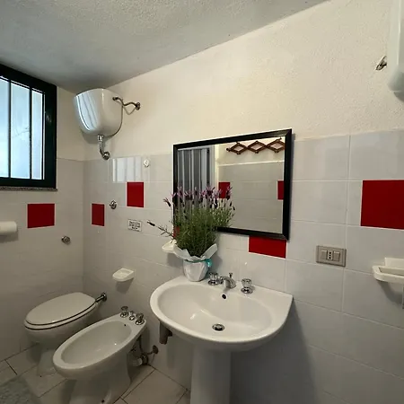 Magnolie-la Pineta Valledoria (Sardinia)