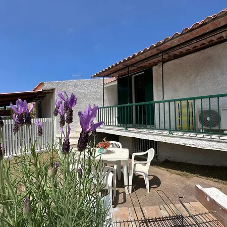 Magnolie-la Pineta Apartman