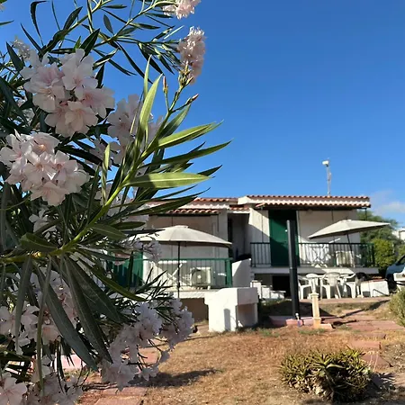 Magnolie-la Pineta Valledoria (Sardinia)