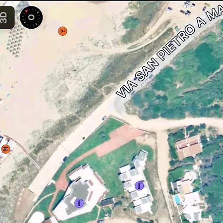 Magnolie-la Pineta *