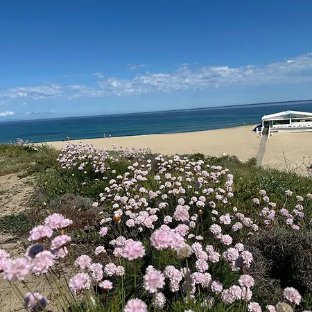 Daire Magnolie-la Pineta A 100 M Dalla Valledoria (Sardinia)